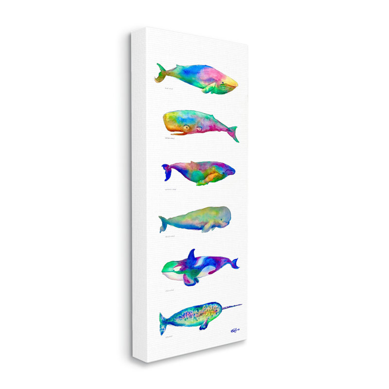 «Bale Kaleidoscopic Whale Narwhal Types Sea Life» par MB Cunningham - impression, Toile tendue, H 24 po x l 10 po x P 1,5 po