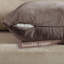 Housse de coussin en velours mat 1pc-126007404-126007427