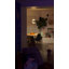 Croissant Pendant Light-75214131-75214027