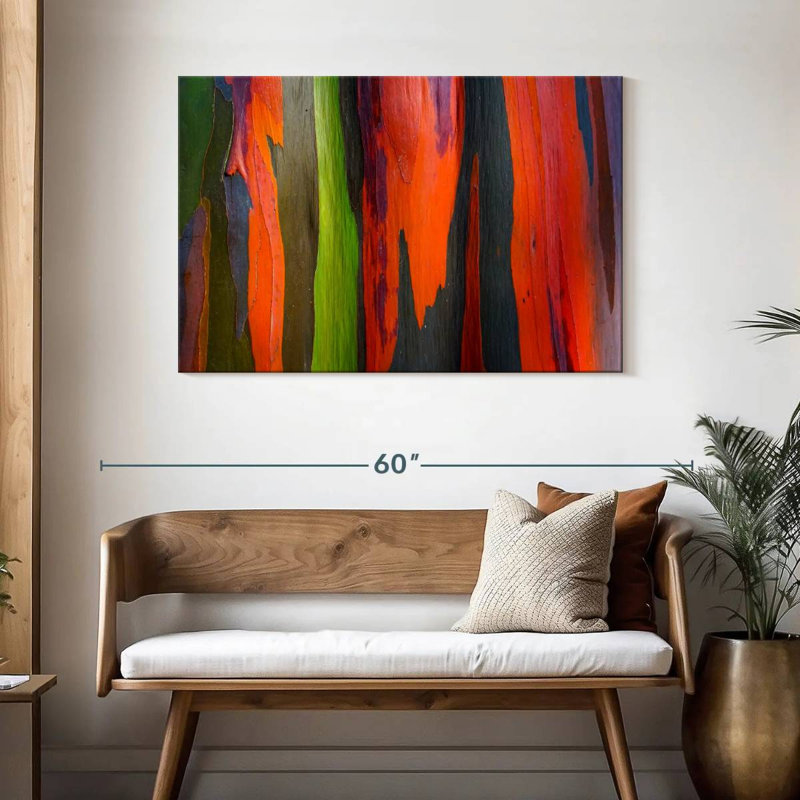 Écorce d'eucalyptus arc-en-ciel Avery, H 30 po x l 45 po