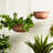Autley Metal Hanging Planter
