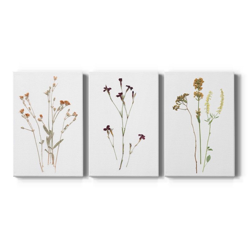 Pressed Botanical I - Toile tendue avec châssis sur mesure - 3 pièces, H 12 po x l 24 po