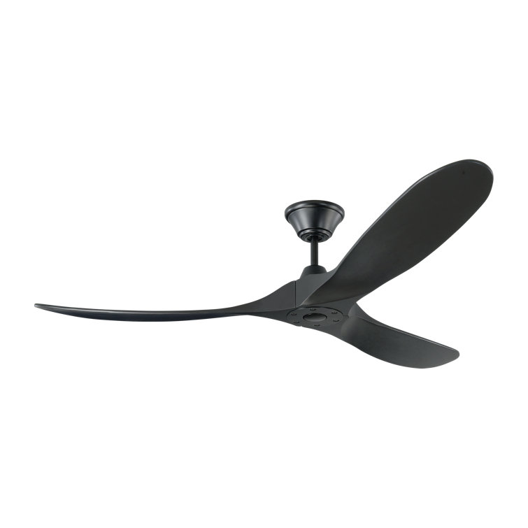 Obsidian Ceiling Fan
