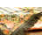 Peqinne Tache Country Rustic Floral Black Midnight Awakening Tablecloth-1171923786