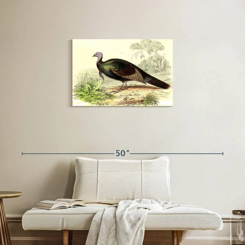 Brampt Wild Turkey, 20" H x 30" W