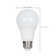 60 Watt Equivalent A19 E26/Medium (Standard) LED Bulb