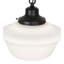 16" Wide Revival Schoolhouse W/Traditional Globe Pendant