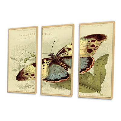 Illustration rétro de papillons III - animaux, ensemble d'art mural sur toile_80514