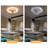 Divleen 18.89'' Ceiling Fan with LED Lights