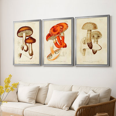 Mushroom Variétés VI - Toile tendue avec châssis sur mesure - 3 pièces