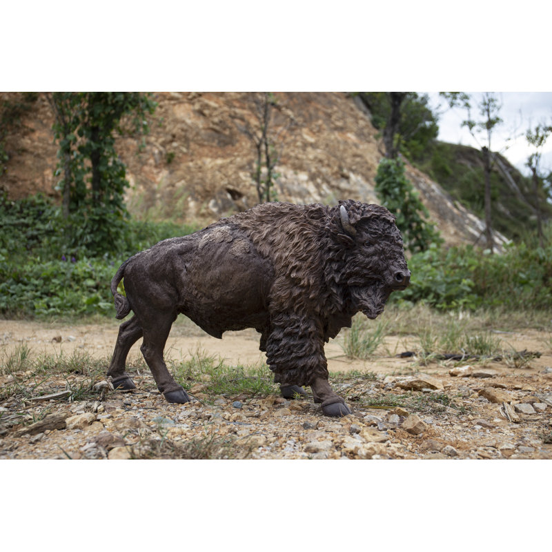 Bison de grande taille