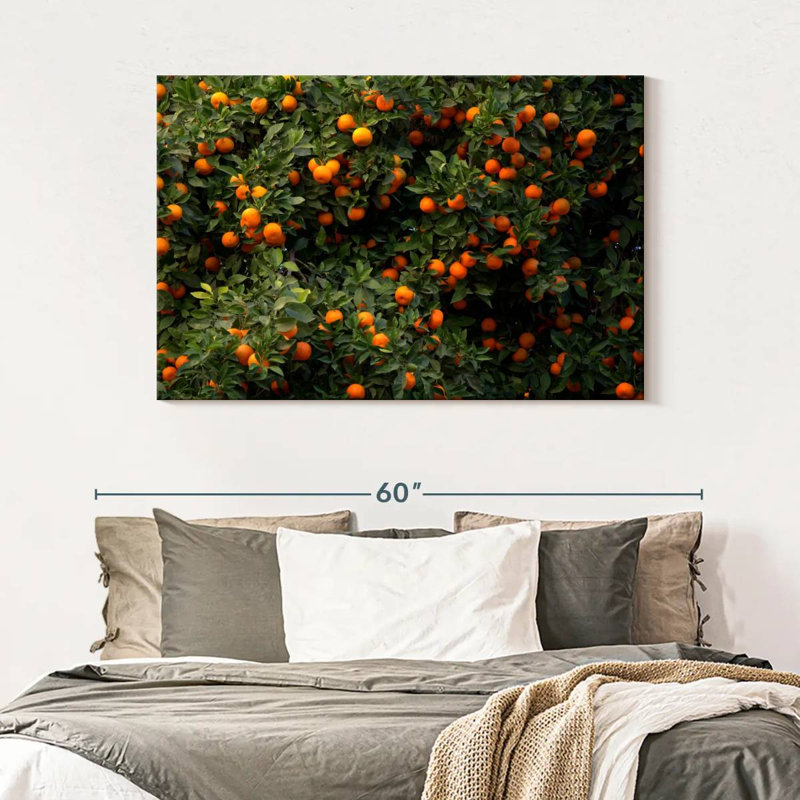 Oranges Harnek Valencia, H 32 po x l 48 po