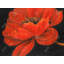 Red Petal Flower - reproduction d'art contemporain encadrée-882512999