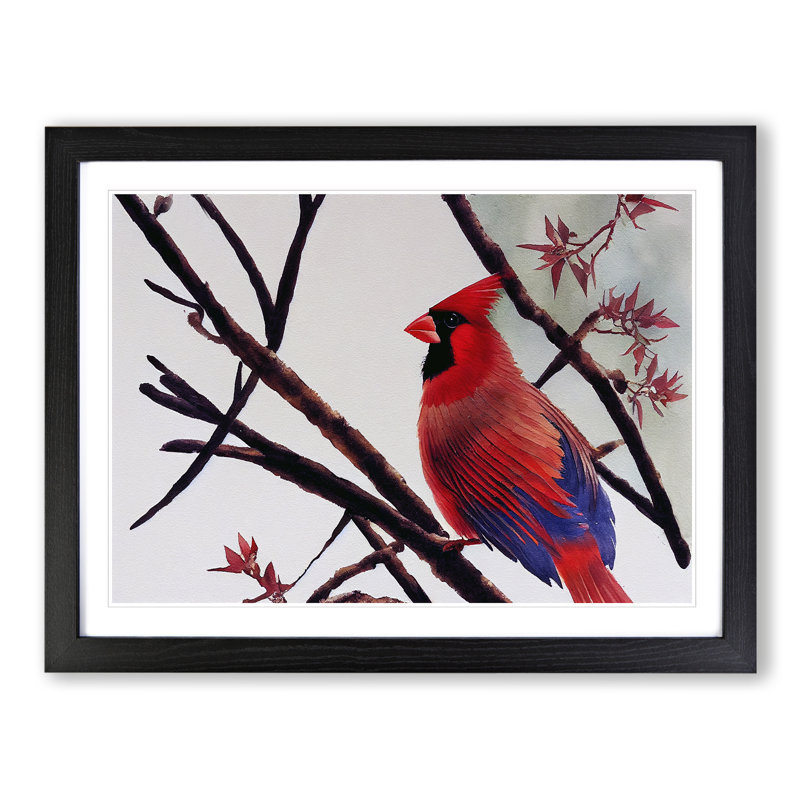 Watercolour Cardinal Bird Vol.4 - Framed Print, Black Framed, 34cm H x 46cm W x 2cm D