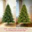 Arbre de Noël-134274717