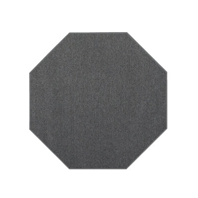Tapis d'intérieur de couleur unie pour l'intérieur et l'extérieur pour animaux de compagnie, résistant aux taches et à la décoloration,  parfait pour les tapis de patio, de terrasse, de pique-nique, de plage, d'arrière-cou
