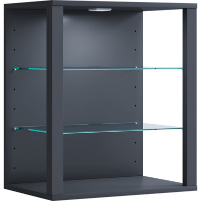 Perrusquia Display Cabinet