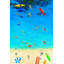 « exploring the sea », reproduction d’art sur toile tendue-20586568