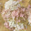 « gilded hortensia ii », impression sur toile tendue-22231055-74416242-74416237