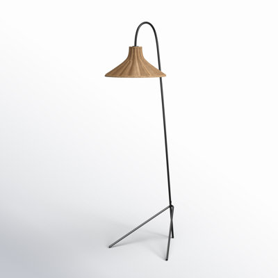 Sylvia 67'' Black Tripod Floor Lamp