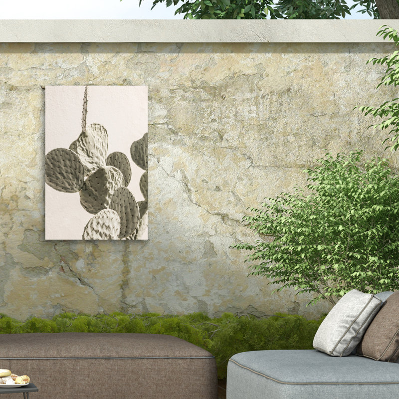 «Bolus Mexi Catus 02», reproduction sur toile, H 19 po x l 12 po