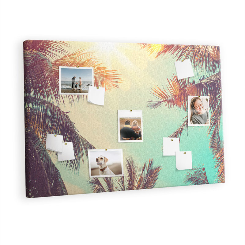 Bittor Cork Corkboard / Bulletin Board