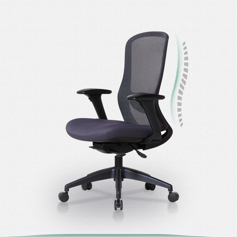 https://assets.wfcdn.com/im/28709394/resize-h755-w755%5Ecompr-r85/2490/249014551/Ergonomic+Mesh+Swivel+Desk+Chair+with+Adjustable+Seat+Depth+and+Lumbar+Support.jpg
