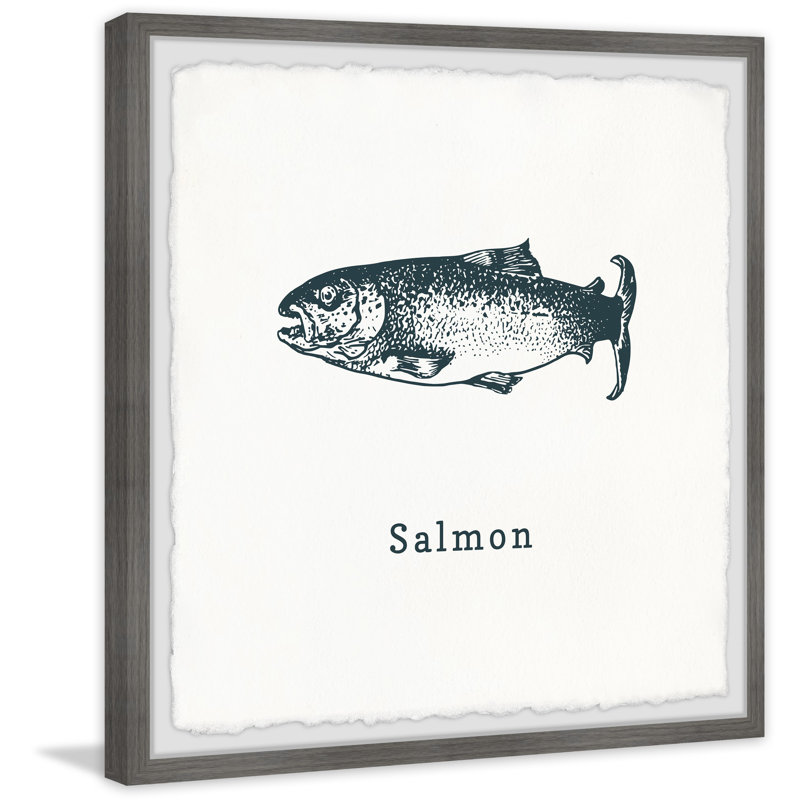Salmon In White - Single Picture Frame Print, 61cm H x 61cm W x 3.81cm D