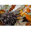 AMBERWOOD - 26" Autumn Wreath with Warm White LED Microbulbs  