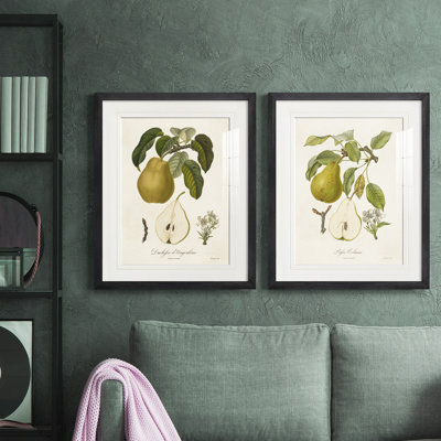 Vintage Pears I, reproduction encadrée de qualité supérieure - prête à être accrochée