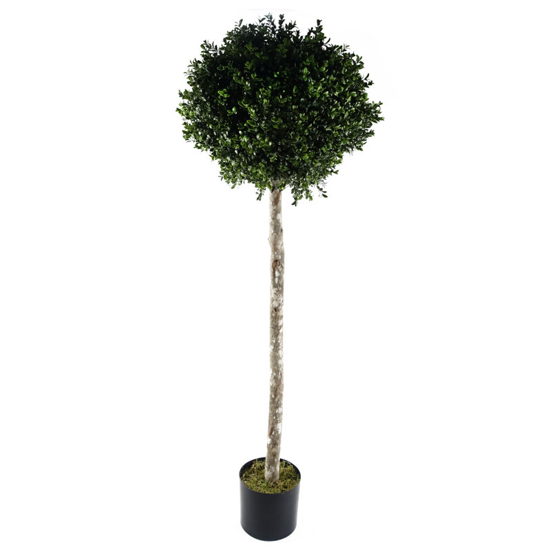 Annistyn 140cm Faux Topiary Tree in Pot