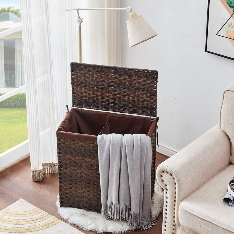 Plastic Laundry Sorter with Handles, Medium (24.4" x 22.5" x 13"), Brown