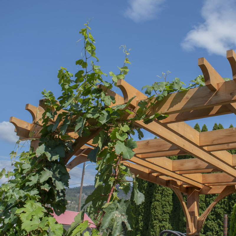 12x12 Cedar Square Traditional Outdoor Pergola
