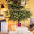 Christmas Live Tree Stand-91465329