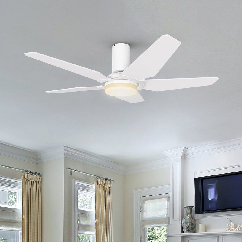 Frica 48 Inch Smart Ceiling Fan with Light