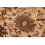 Tapis beige rectangulaire en laine noué à la main 6 pi 2 po x 8 pi 9 po Baccio