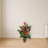 Anthurium Silk Plant