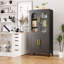 Armoire de rangement verrouillable polyvalente en fer-2032160620