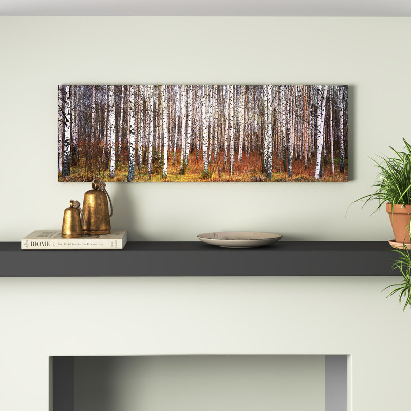 Silver Birch Trees In A Forestnarke, Sweden - Wrapped Canvas Panoramic Print, Wrapped Canvas, 182.88 cm H x 60.96 cm W