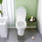 APRESSHUI 1.6 Gallons GPF Elongated Floor Mounted (Seat Included)