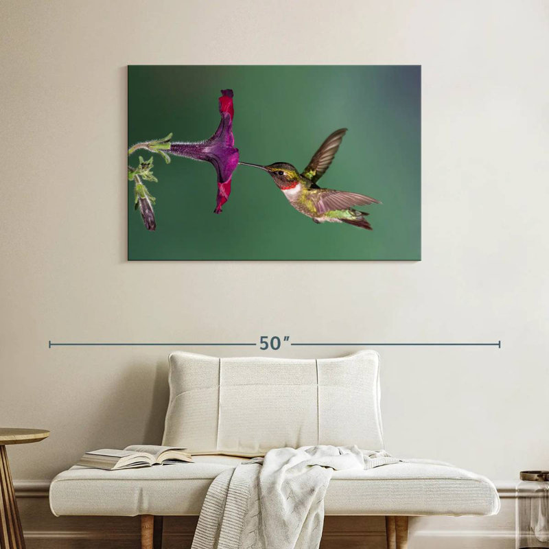 Brampt Nectar Sucking Hummingbird, 26" H x 39" W