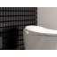 Dual-Flush Elongated Bidet Toilet (Seat Included)
