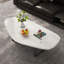 Simple and unique shaped marble coffee table-133160626