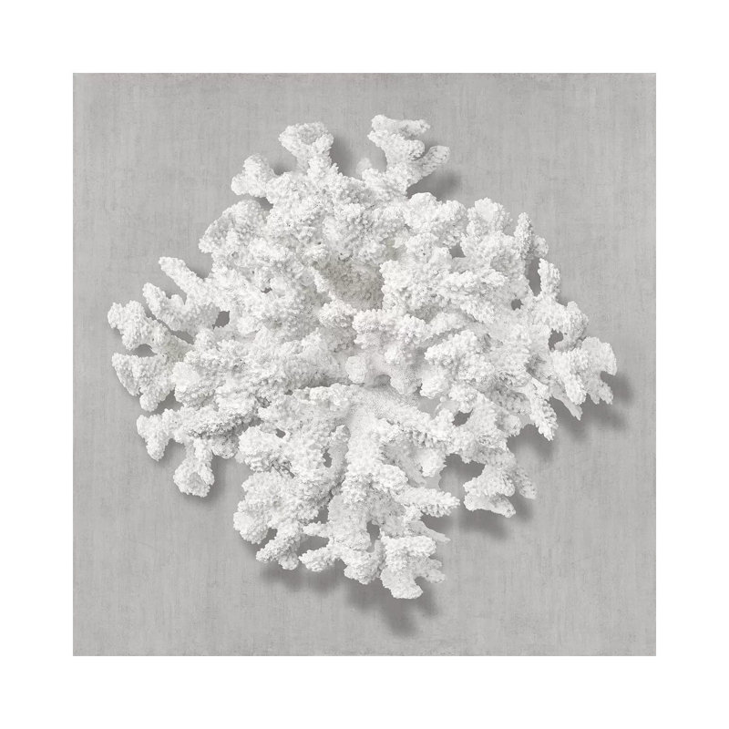 Coral on grey I 1 Piece Wrapped Canvas Wall Art, 45.72cm H x 45.72cm W 1.91cm D