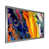Impression argent sur toile encadrée