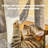 Daejah 63'' H Cat Tree-1893340104