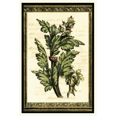 Leaves Of Elegance I by Vision Studio - Wrapped Canvas Painting