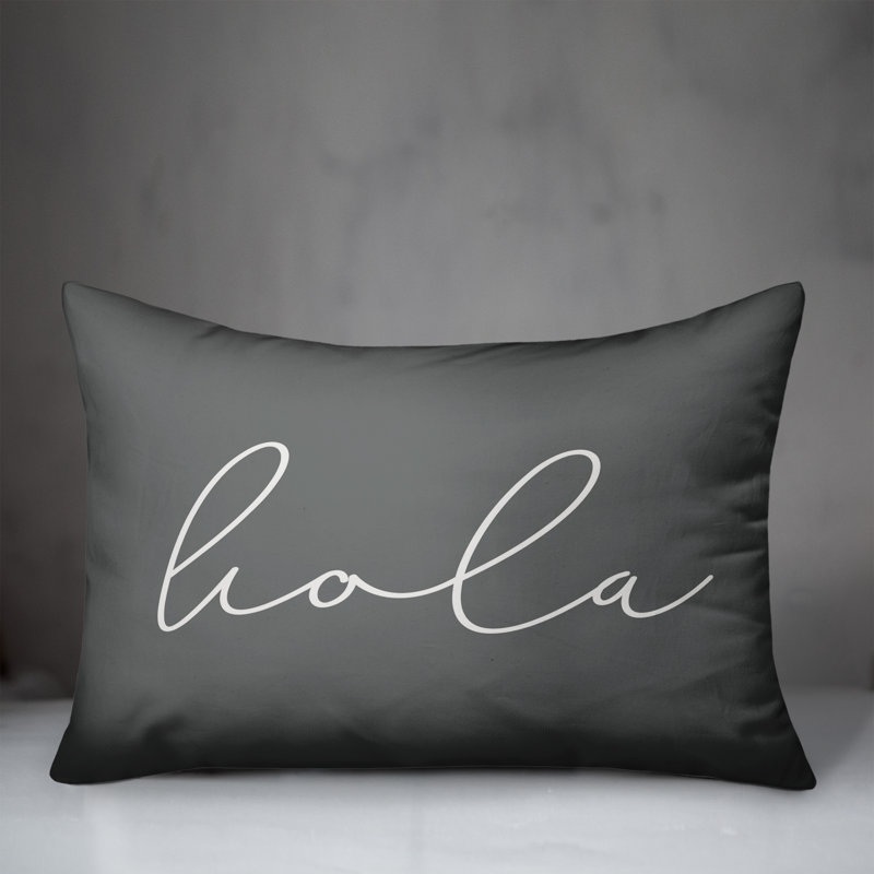  Hola Thin Indoor/Outdoor Pillow Cover & Insert, Dark Gray/White