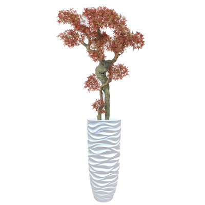 68.5"H Real-touch Bonsai plant