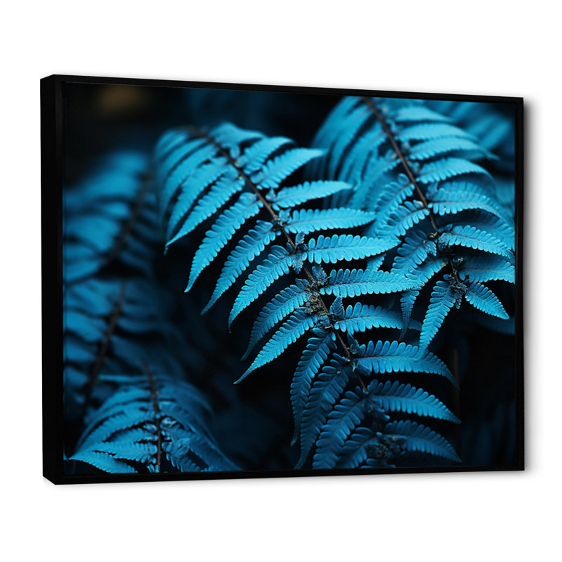 Ferns Turquoise Whimsy I - imprimé, H 16 po x l 32 po x P 1 po, Cadre flottant noir